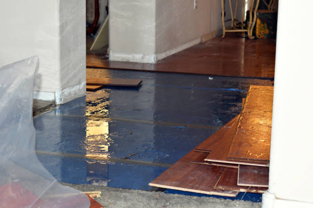 Professional Basement Flooding technician working in Warren, RI